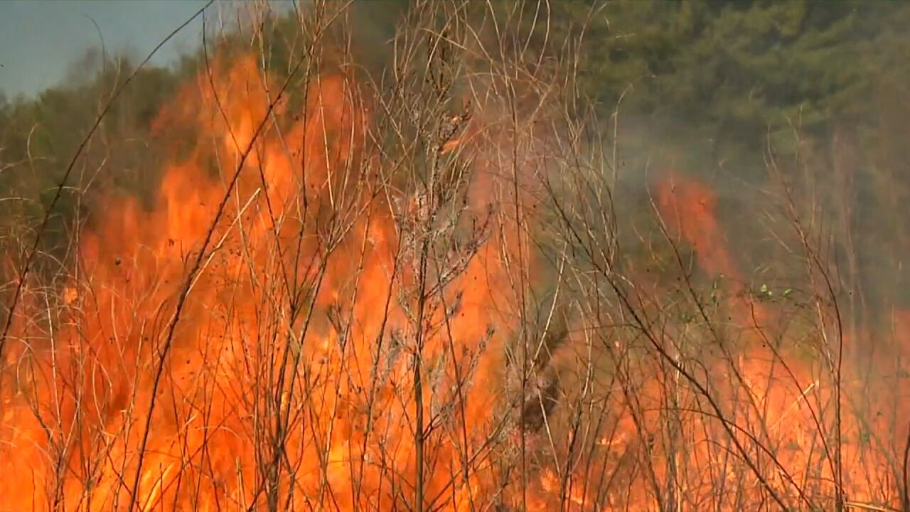 Permit now required for burning debris in Tennessee